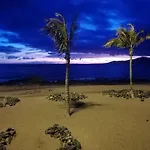 Dino 10 Playa Roca