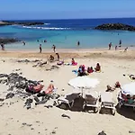 Dino 10 Playa Roca