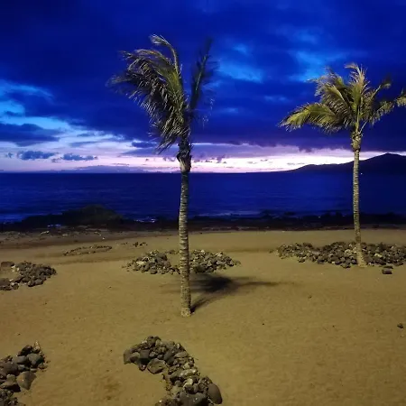 Dino 10 Playa Roca